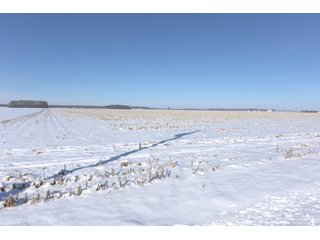 Property photo 54 - OHIO REAL ESTATE AUCTION - 202+/- ACRES IN 3 TRACTS IN VAN WERT COUNTY, OHIO